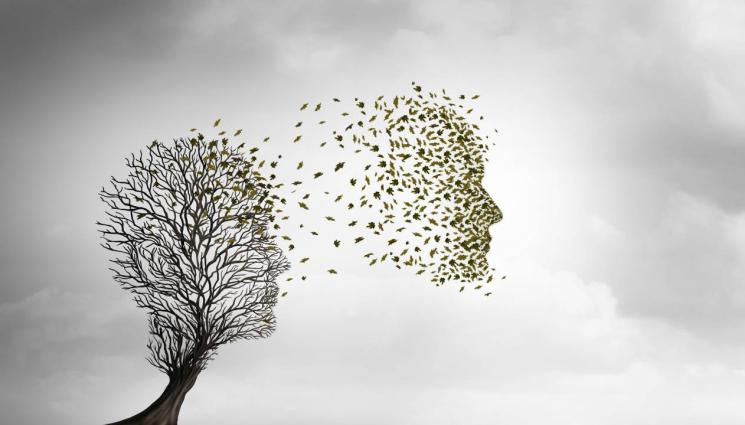 прераждане - СМРАЗЯВАЩА МИСТЕРИЯ: Преродени близначки шокират света! (СНИМКИ)