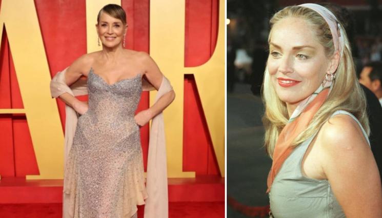 Шарън Стоун - ШАРЪН СТОУН СЕ РАЗГОЛИ: Рисува само по бикини (СНИМКА)