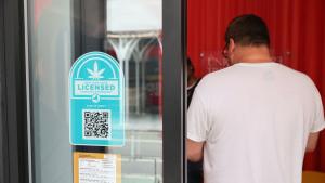 В скорошен фестивал на марихуаната в Ню Йорк посетителите пушиха