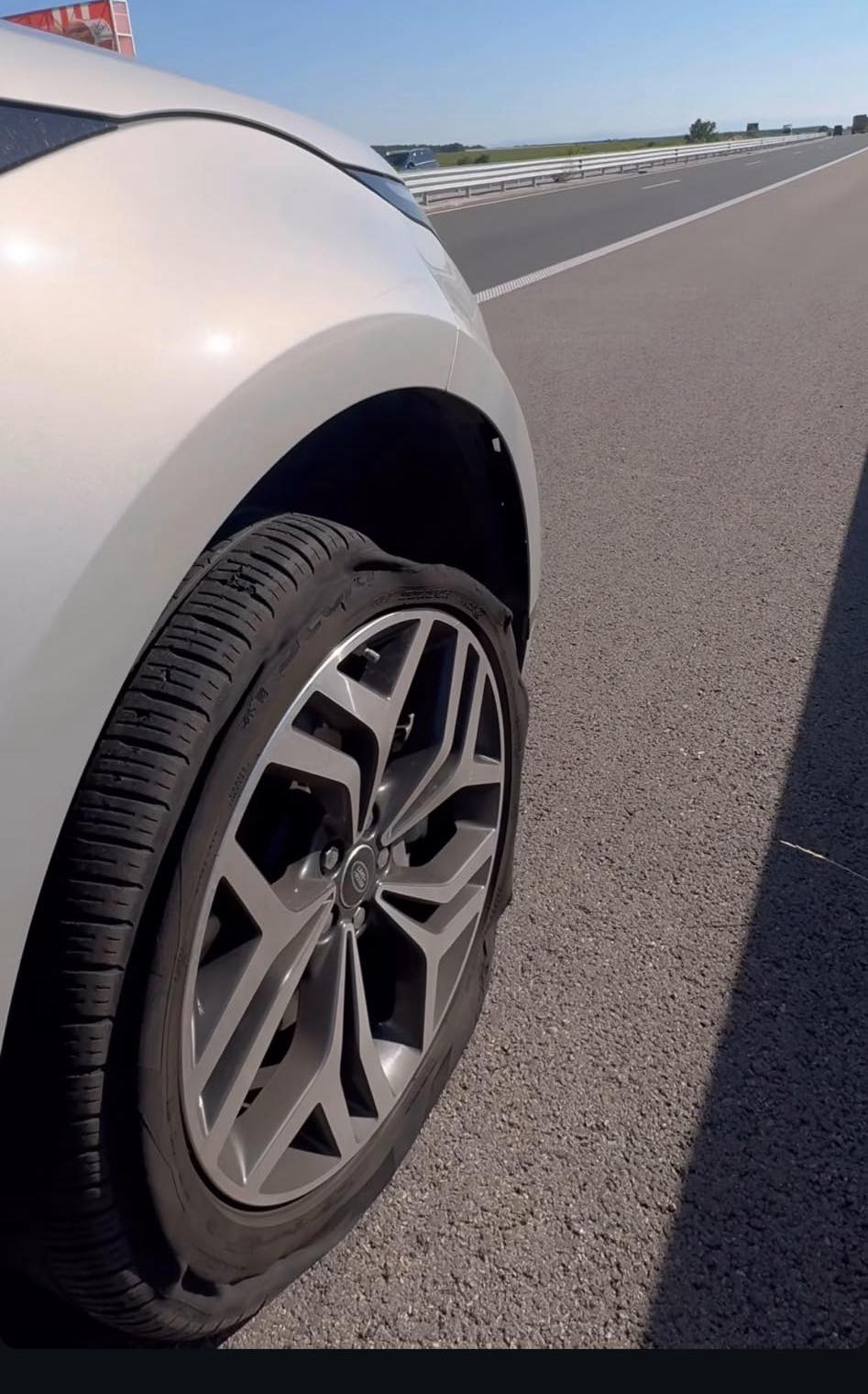 нора недкова