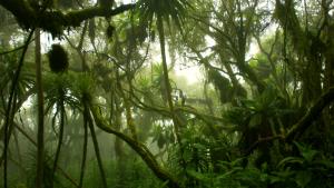 Учени и природозащитници изграждат жива банка и възнамеряват да създадат