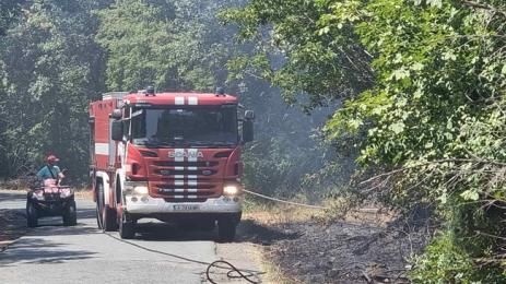 пожар Росенец