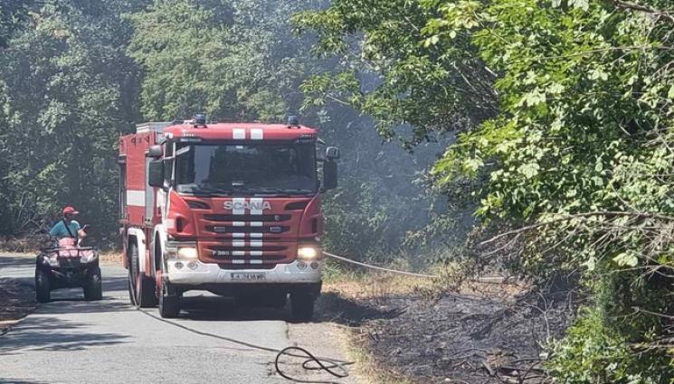 пожар Росенец - Пожар гори до резиденцията на Ахмед Доган в Росенец (ВИДЕО)