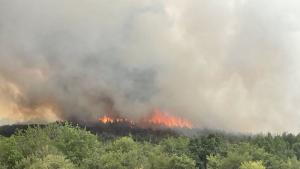 По разпореждане на министър председателя Димитър Главчев МВР разкрива телефонна линия