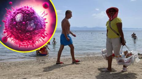 вируси море