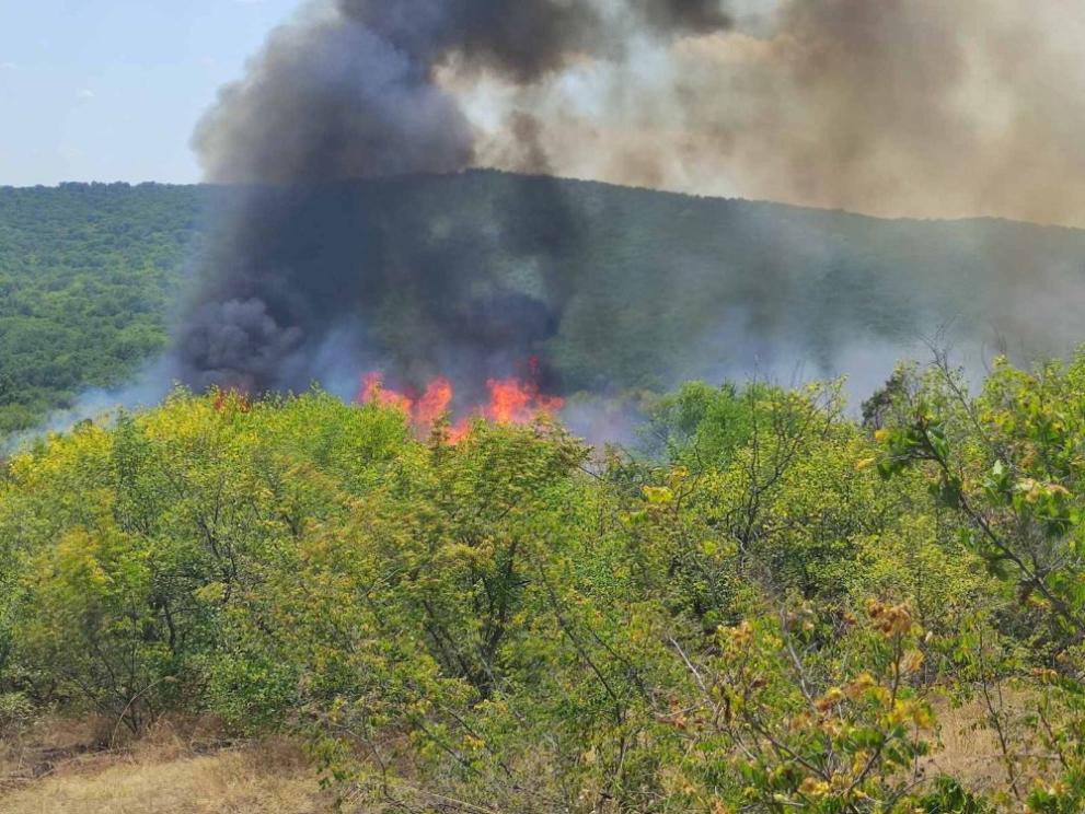 Борбата с пожарите в страната продължи и в неделния ден.
