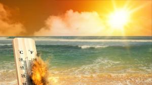 горещини жеги