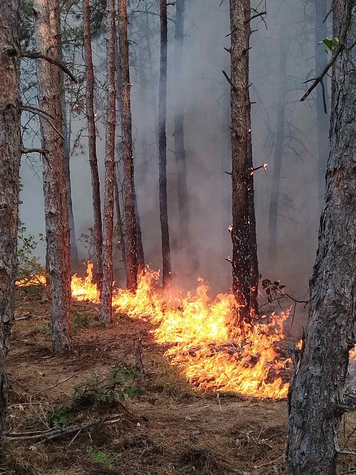 пожари