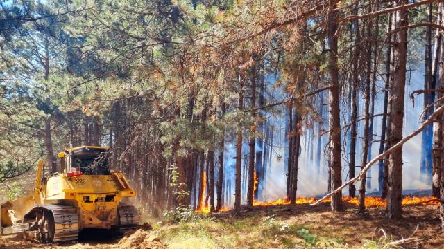 Огнен ад у нас: България се бори с пожарите в продължение на дни (СНИМКИ)