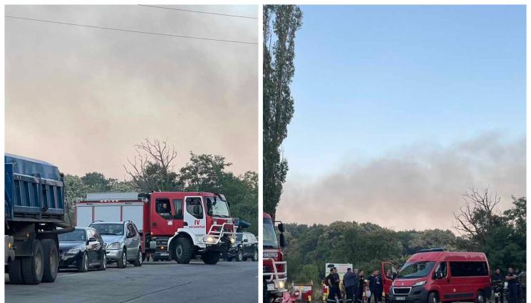 пожар - ТЕЖКАТА БИТКА С ОГЪНЯ: Потушиха пожара край Стара Загора!