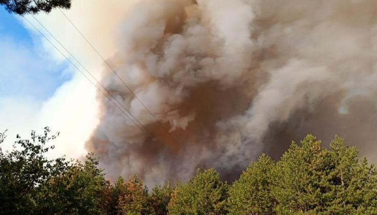 пожари - ПЛАМЪЦИТЕ СЕ РАЗРАСТВАТ: Пожари в Пловдивско погълнаха 15 вили!