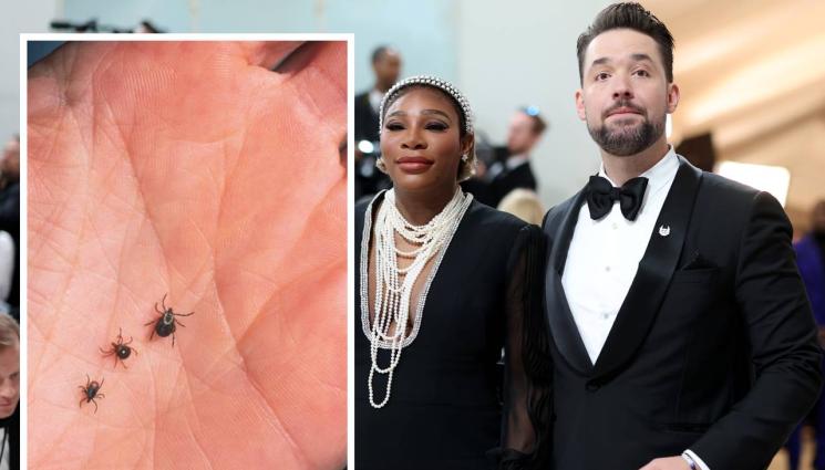 Тенис - Наследникът на Гришо в кревата на Серена с лаймска болест