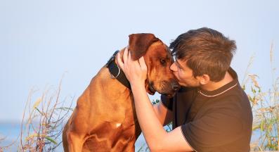 Родезийски риджбек