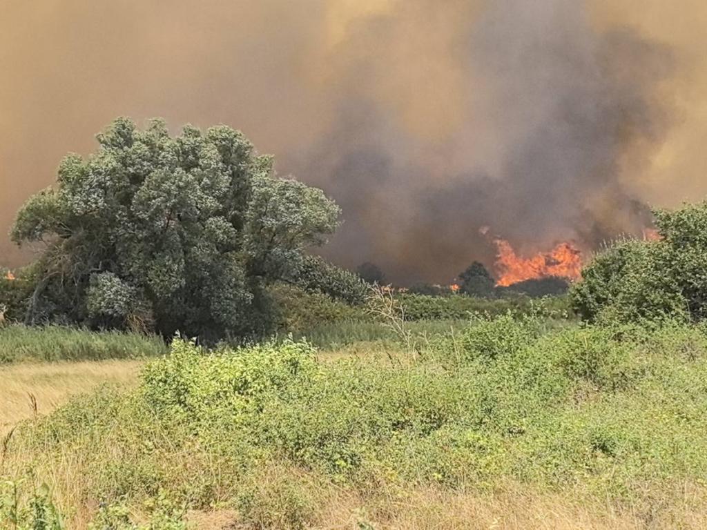 Пожар гори и в землищата на селата Горска поляна и