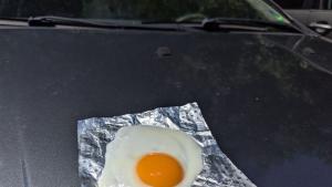 Успешен експеримент в Плевен изпекоха сурово яйце върху предния капак