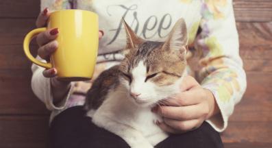 Домашна котка и стопанка