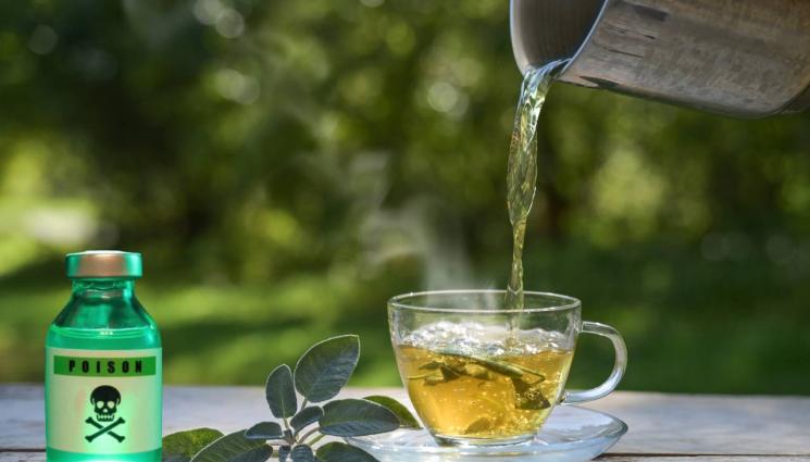 отрова - ИСТИНСКИ ХОРЪР: Шестима души умряха в хотел след цианид в чая!