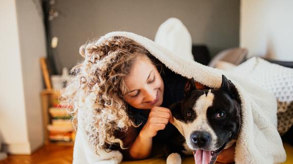 5 начина да направите кучето си (още) по-щастливо