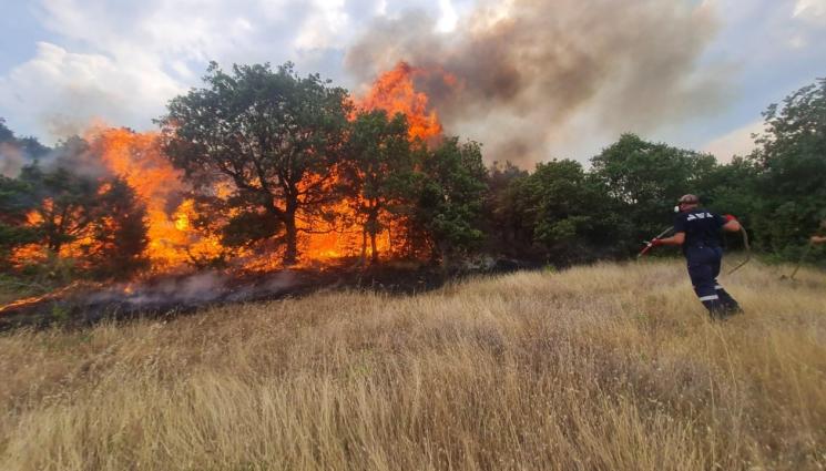 пожар - ЗАРАДИ ЗАПАЛЕНИ ГУМИ: 12 къщи изгоряха в Чирпанско!