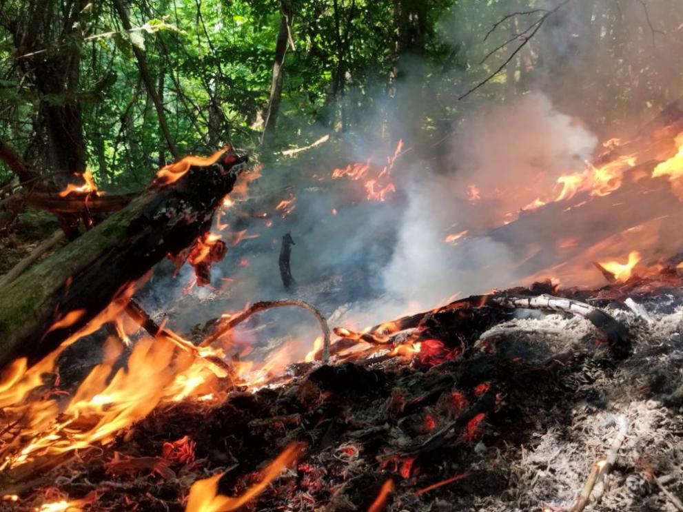 Над 50 горски служители се включиха в гасенето и в