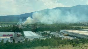 пожар Горубляне