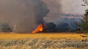 Пожар гори в землището на пазарджишкото село Овчеполци съобщиха от