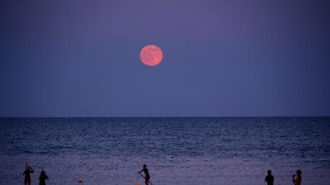 пълнолуние