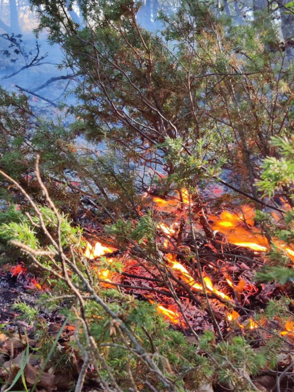  Троянския проход 