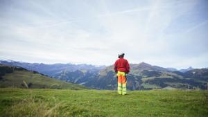 планина спасител