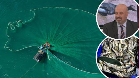 цаца риболов