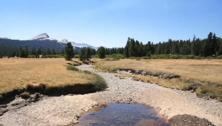 река - СЛЕД ГОРЕЩИНИТЕ: Река край Пловдив пресъхна!