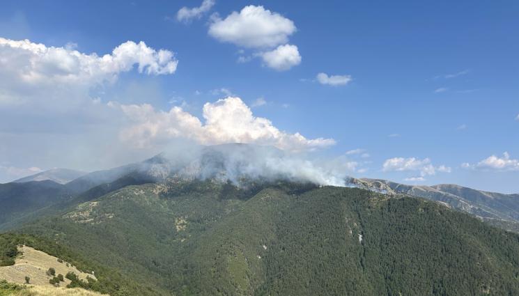 ПОЖАР - ЗАСТРАШИТЕЛНО БЛИЗО: Пожарът в Гърция вече на километър от границата ни