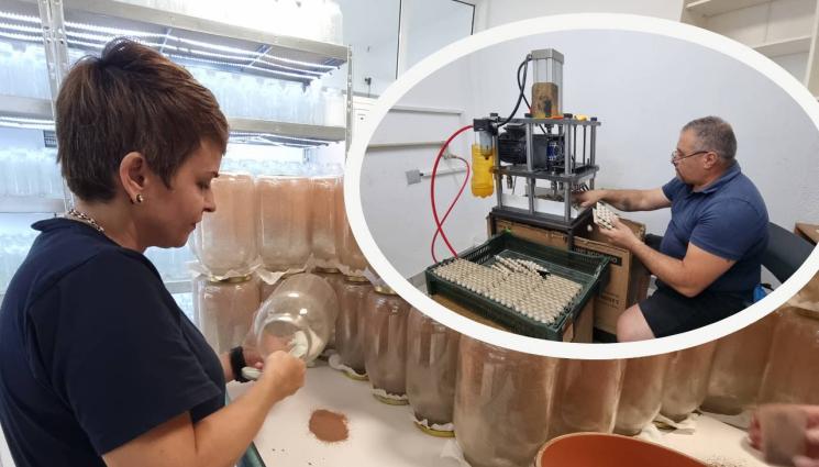 агро - Агро Телеграф: Полезно насекомо унищожава вредители