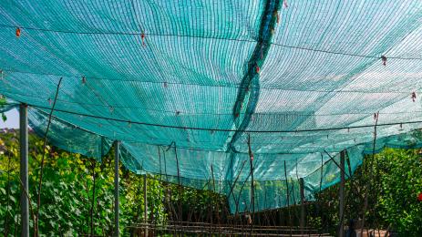 мрежа градина