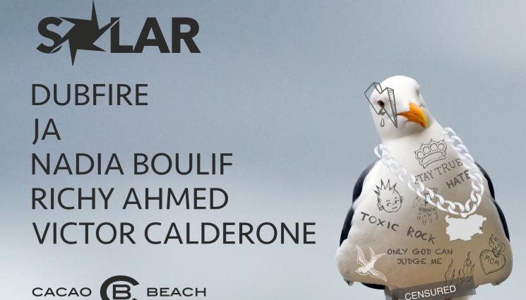 Solar Summer - 11 факта за Solar Summer, които ще те изненадат!