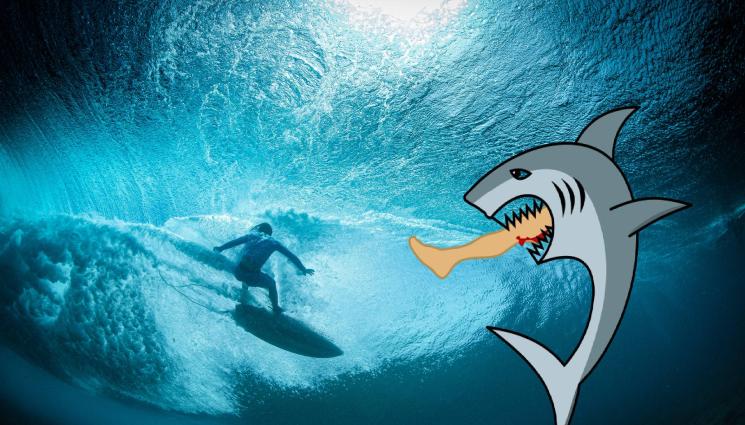 акула - ЧЕЛЮСТИ: Акула откъсна крака на сърфист, крайникът изплува на плажа!