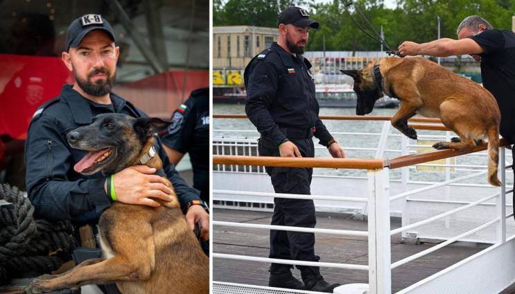куче Дарк ГДБОП - Специално БГ куче търси бомби в Париж! (СНИМКИ)