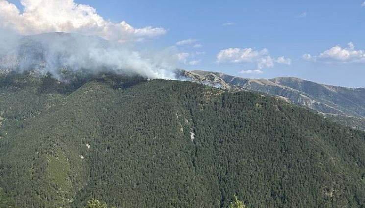 пожар Славянка - НЯМА КРАЙ: Пожарът на границата с Гърция пак се разгоря!