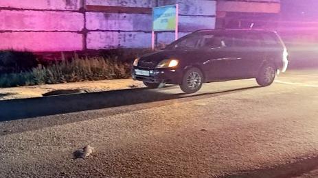 прегазена жена