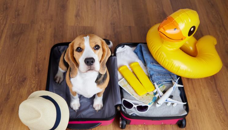 куфар багаж - ПРАКТИЧНИ СЪВЕТИ: 10 излишни неща в куфара