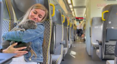 котка в транспортна чанта