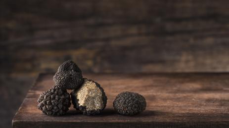 трюфел