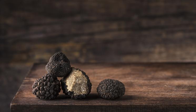 трюфел - Гастротур с мирис на гора: На лов за трюфели във Второто българско царство!