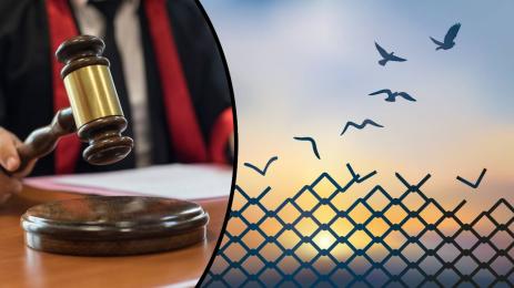 съд свобода