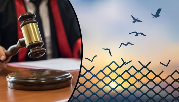 съд свобода - ОФИЦИАЛНО: Спасиха Тото, пускат го на свобода! (ВИДЕО+СНИМКA)