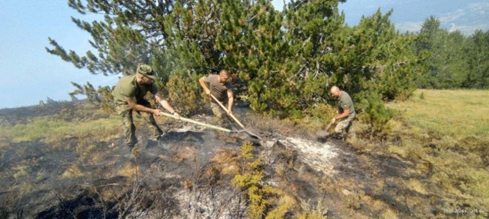 Пореден ден на борба с големия пожар на българо-гръцката граница, съобщиха
