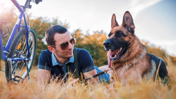 10 породи кучета, подходящи за лична защита