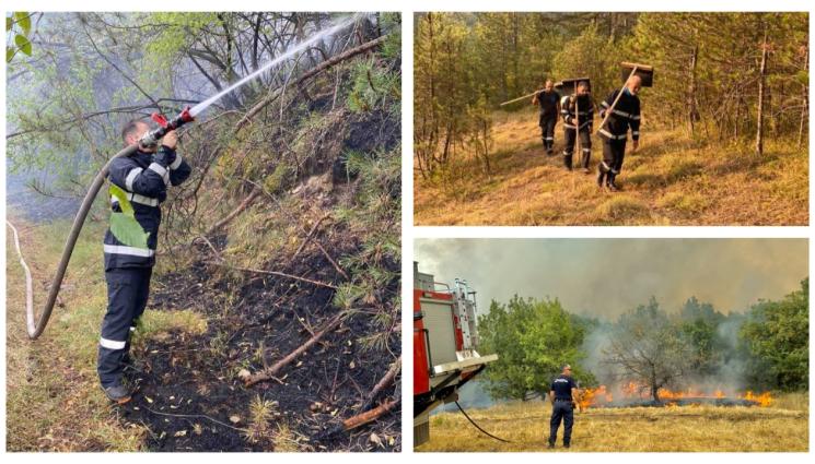 e - 3300 доброволци супергерои у нас!