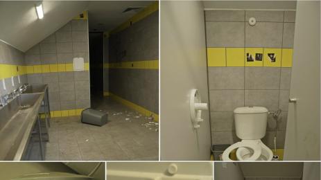 Ботев Пд и Локо Пд