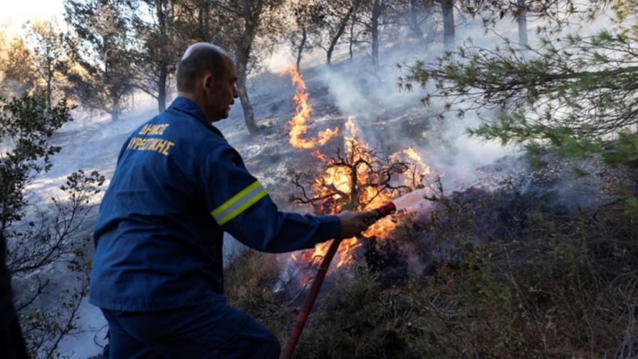 <p>Евия в огнен капан: Продължава борбата с пожара на гръцкия остров (СНИМКИ/ВИДЕО)</p>